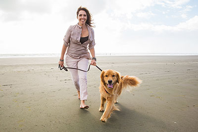 Pets Leashed on the Beach