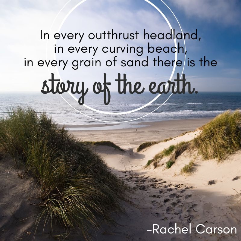 beach sand quotes