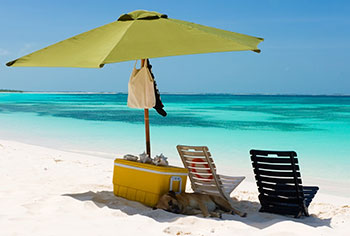 Dog on the Beach under an Umbrella