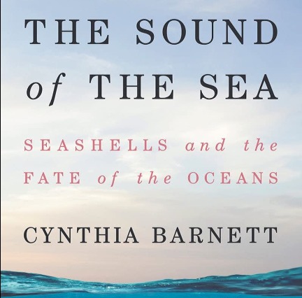 The Sound of the Sea: Seashells and the Fate of the Oceans | Sunset Vacations