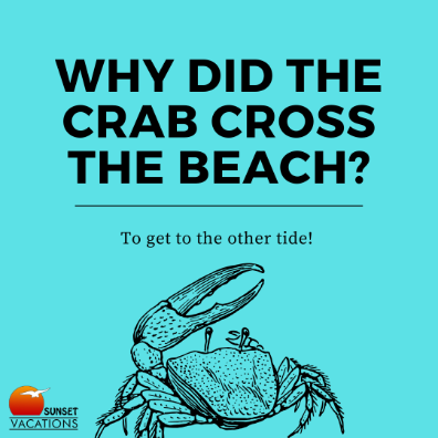 Beach Jokes - Crabs | Sunset Vacations