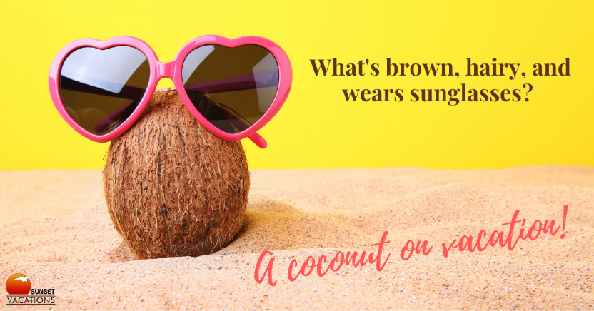 Beach Jokes - Coconut | Sunset Vacations