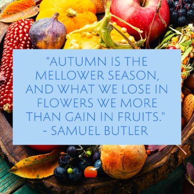 10 Fabulous Autumn Quotes to Get You Dreaming About a Beach Vacation | Sunset Vacations