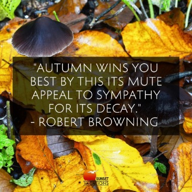 10 Fabulous Autumn Quotes to Get You Dreaming About a Beach Vacation | Sunset Vacations