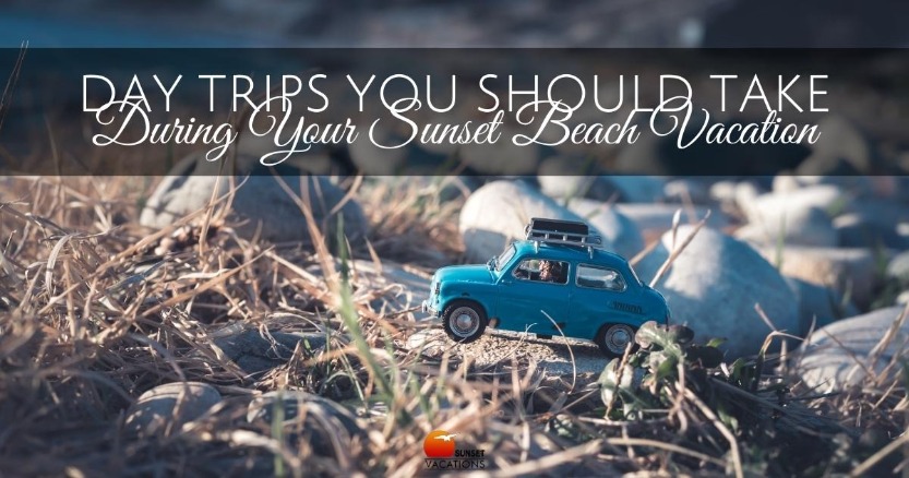 Day Trips You Should Take During Your Sunset Beach Vacation