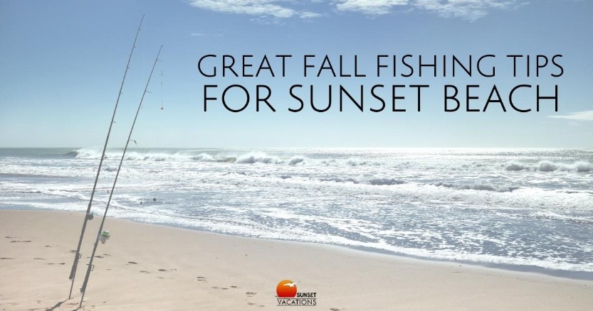 Great Fall Fishing Tips for Sunset Beach