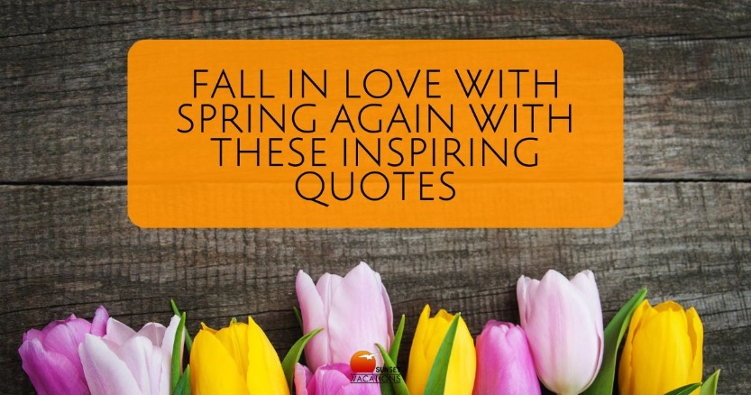 Fall in Love with Spring Again With These Inspiring Quotes | Sunset Vacations