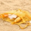 Mesh Bags for Beach | Sunset Vacations