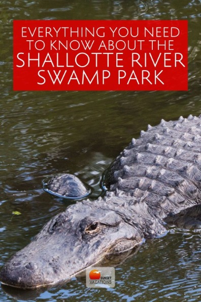 Everything You Need to Know About the Shallotte River Swamp Park | Sunset Vacations