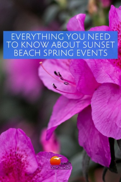 Everything You Need to Know About Sunset Beach Spring Events | Sunset Vacations