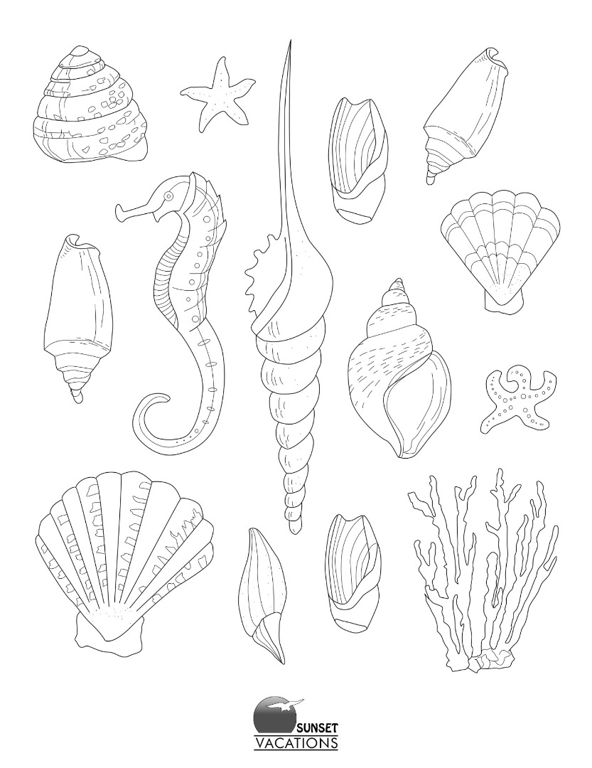 printable seashell beach coloring page