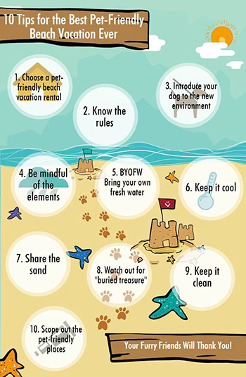 Infographics 10 Tips for the Best Pet-Friendly Beach Vacation Ever