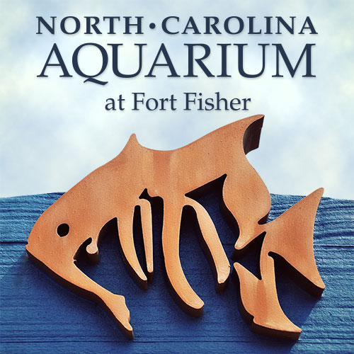 Fort Fisher Aquarium
